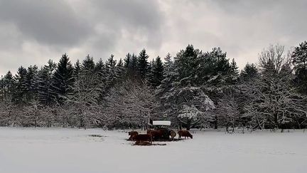 Neige : la France sous les flocons d'avril