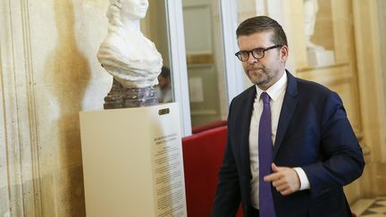 Le député socialiste du Val-de-Marne Luc Carvounas, le 24 juillet 2018 à l'Assemblée nationale. (MAXPPP)