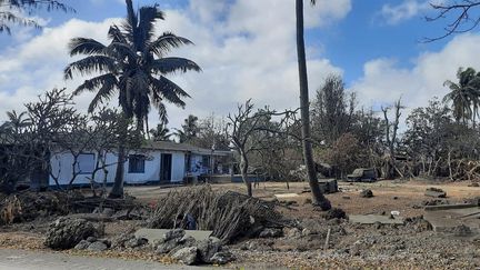 Les îles Tonga dévastées après&nbsp;une éruption volcanique, le 22 janvier 2022. (EYEPRESS NEWS / AFP)