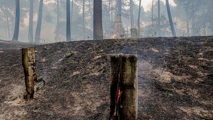 L'incendie de la forêt de la Teste-de-Buch à proximité de la ville de Cazaux, le 14 juillet 2022. (GUILLAUME BONNAUD / MAXPPP)