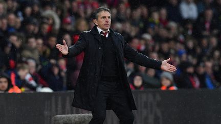 L'entraîneur français de football Claude Puel, en novembre 2016, alors qu'il coachait Southampton, dans le championnat anglais. (BEN STANSALL / AFP)