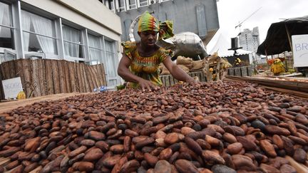 Des fèves de cacao devant le bâtiment de la Caisse ivoirienne de stabilisation des produits agricoles à Abidjan (Côte d'Ivoire). (SIA KAMBOU / AFP)