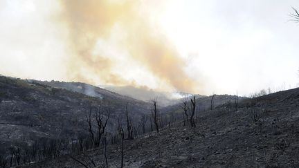 De la fumée s'élève des montagnes alors que les opérations d'extinction des feux sont en cours, à Tizi Ouzou (Algérie), le 12 août 2021. (MOUSAAB ROUIBI / ANADOLU AGENCY / AFP)