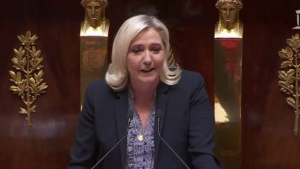 Rassemblement national : Marine Le Pen, la stratégie de la respectabilité