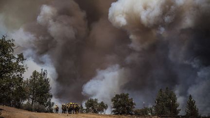 Des pompiers de Los Angeles partent &agrave; l'assaut du feu dans le parc de Yosemite, le 22 ao&ucirc;t 2013.&nbsp; (MAX WHITTAKER / REUTERS)