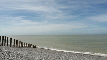 Plage du Hourdel à Cayeux-sur-Mer dans les Hauts-de-France, le 21 mai 2022. (FRANCOIS SAUVESTRE / RADIO FRANCE)