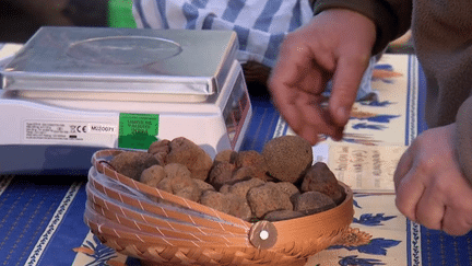 Gastronomie : les splendeurs de la truffe noire mise en avant au marché d’Aups (France 2)