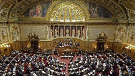 L'hémicycle du Sénat, à Paris, en janvier 2019. (ERIC BERACASSAT / ONLY FRANCE / AFP)