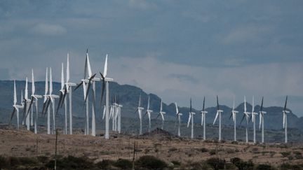 Les éoliennes installées près du lac Turkana, dans le nord du Kenya. Photo prise le 29 juin 2018. (YASUYOSHI CHIBA / AFP)