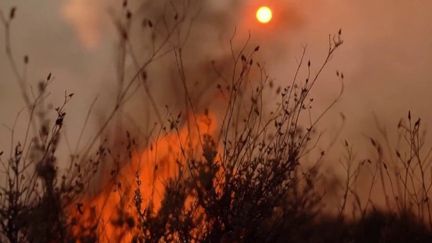 Espagne : en pleine canicule, le pays est dévoré par les incendies