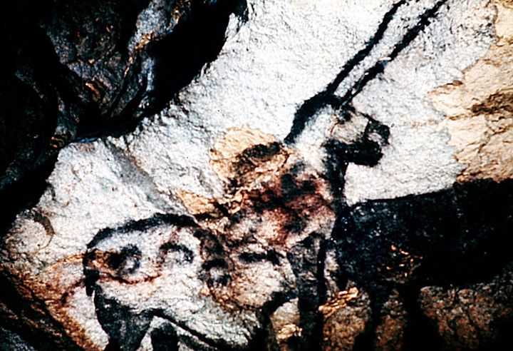 La "licorne" de la grotte de Lascaux. La photo a été prise en 1996.&nbsp; (MAXPPP)