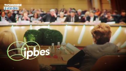 IBPES (TV5MONDE)