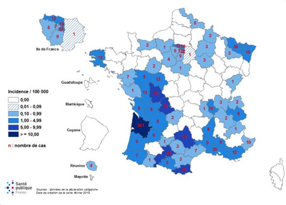 Les cas de rougeole recensés en France entre le 17 février 2017 et le 16 février 2018. (SANTE PUBLIQUE FRANCE)