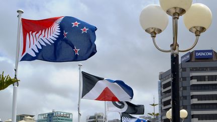 Les différents modèles pour le nouveau drapeau de la Nouvelle-Zélande, photographiés le 11 décembre 2015. (NEIL SANDS / AFP)