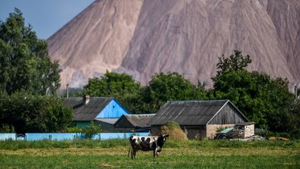 Terril de la mine de Saligorsk, en Biélorussie, en août 2020. (SERGEI GAPON / AFP)