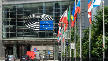 Le parlement europ&eacute;en &agrave; Bruxelles&nbsp; le 15 mai 2015. (DANIEL KALKER / DPA)