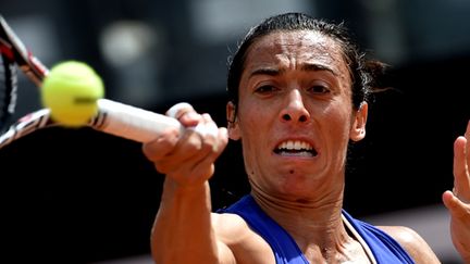 L'Italienne Francesca Schiavone (TIZIANA FABI / AFP)