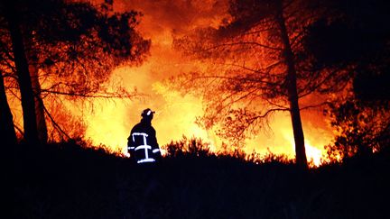 Un pompier face aux flammes, le 11 août 2016, dans le 15e arrondissement de Marseille (Bouches-du-Rhône). (MAXPPP)