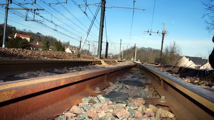 Un jeune homme a &eacute;t&eacute; percut&eacute; par un train en Gironde alors qu'il traversait les voies. Son corps, projet&eacute;, a percut&eacute; un autre homme, qui a &eacute;t&eacute; gri&egrave;vement bless&eacute;. (JACK GUEZ / AFP)