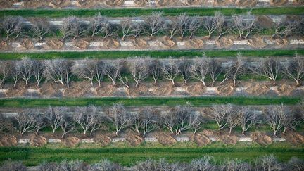 ... (Yann Arthus-Bertrand)