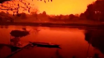 Dans la province de Jambi, sur l'île de Sumatra (Indonésie), le 21 septembre 2019. (@DANI_KHOLIK / INSTAGRAM / REUTERS)