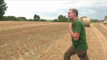 Agriculture : une moisson de blé compliquée par la météo (FRANCE 3)