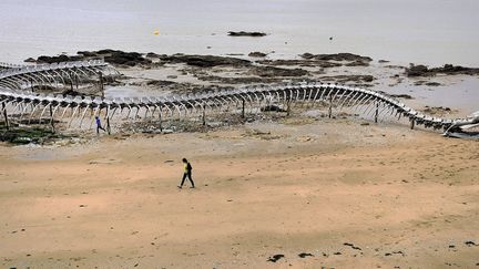 "Serpent d'ocean" Huang Yong Ping, Saint-Brévin-les-pins, 2012
 (JEAN-SEBASTIEN EVRARD / AFP)