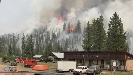 Incendies : l'Amérique du Nord sous les flammes