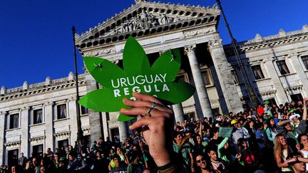 Des Uruguayens manifestent pour la l&eacute;galisation du cannabis, le 10 d&eacute;cembre 2013, &agrave; Montevideo. (PABLO PORCIUNCULA / AFP)