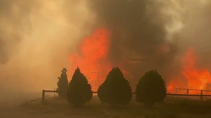 Canada, la chaleur suffoquante provoque des incendies