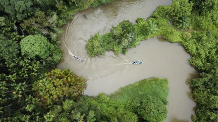 Des gardes-forestiers patrouillent dans l'écosystème Leuser, une zone forestière située au nord de Sumatra, en Indonésie (photo d'illustration). (CHAIDEER MAHYUDDIN / AFP)