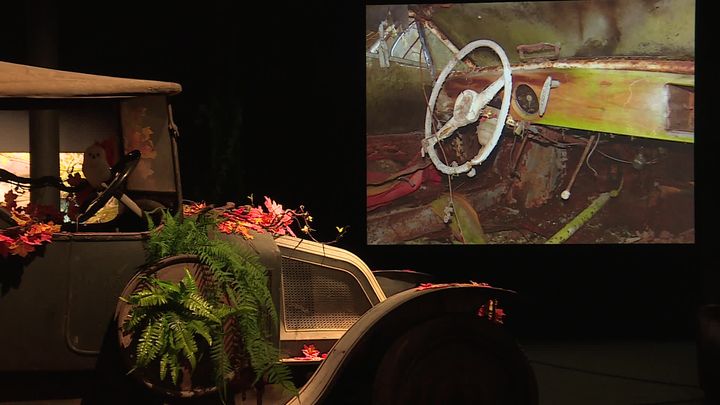 L'exposition "Silence, on rouille" témoigne que la nature reprend ses droits sur des épaves abandonnées. (France 3)