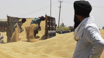 L'Inde a annoncé samedi interdire les exportations de blé&nbsp;face à la baisse de sa production. (NARINDER NANU / AFP)