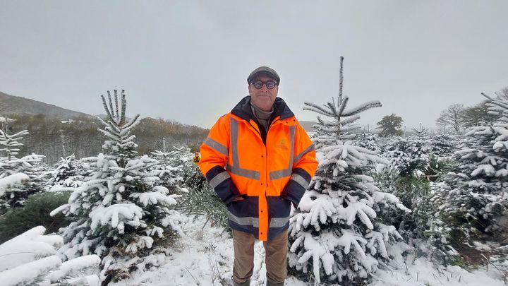 Frédéric Naudet est à la tête d'une entreprise familiale qui cultive du sapin de Noël depuis 1956. (VALENTIN DUNATE - FRANCEINFO - RADIO FRANCE)