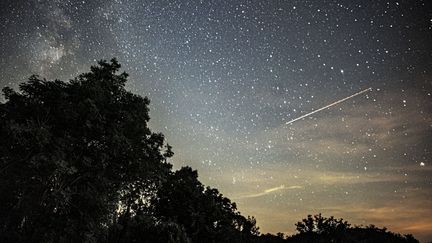 Photograph taken on August 14, 2023 in Fontainebleau. Illustrative photo. (MIGUEL MEDINA / AFP)