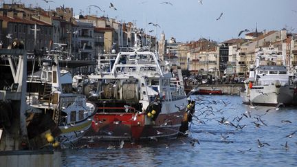 &nbsp; (Thoniers dans le port de Sète  © SIPA/Damourette)