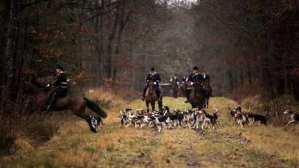 Chasse : le permis national coûte deux fois moins cher