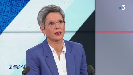 Affaire Julien Bayou : Sandrine Rousseau "ne regrette rien" à ses déclarations sur les accusations de violence psychologique