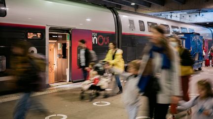 Un TGV en gare de Paris-Montparnasse, le 22 octobre 2022. (MAYLIS ROLLAND / HANS LUCAS / AFP)