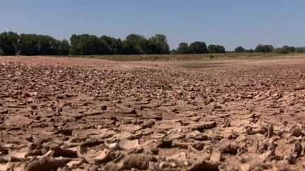 Sécheresse : 62 départements français en état de crise