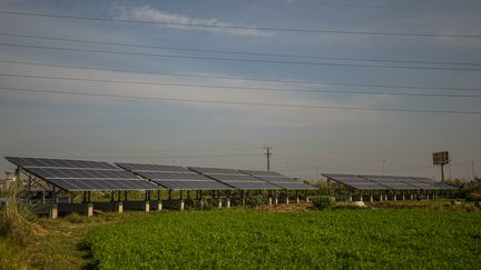 Pour limiter les conséquences du réchauffement, certains experts préconisent de recourir à des systèmes d'irrigation reposant sur des techniques émettant moins de gaz à effet de serre, comme l'énergie solaire, et d'améliorer la productivité des cultures.&nbsp; (MOHAMED EL-SHAHED / AFP)