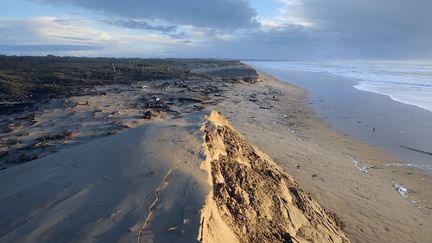 Environnement : comment lutter contre l'érosion des côtes françaises?