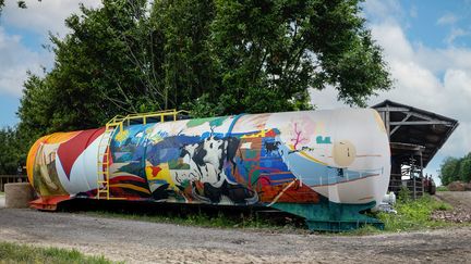 Une quinzaine d'artistes ont créé leurs&nbsp;œuvres in situ. (Jean-Pierre Sageot)