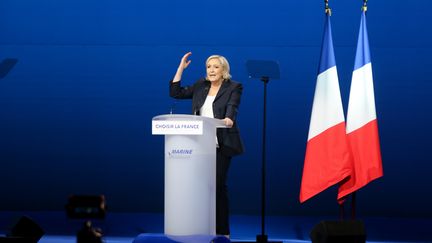 Marine Le Pen, en meeting le 1er-Mai 2017 à Villepinte (Seine-Saint-Denis)&nbsp; (YANN BOHAC / CITIZENSIDE)