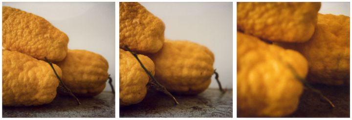 Cy Twombly, "Lemons", Gaète, 1998, Collection Fondazione Nicola del Roscio
 (Cy Twombly Foundation, courtesy Archives Nicola Del Roscio)