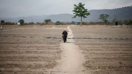 A l'issue de leur formation, ils retourneront dans leurs villages utiliser et propager les techniques apprises. "Nous sommes en train de préparer une offre de micro-crédit avec le crédit populaire de Centrafrique", affirme à l'AFP Pascal Bida Koagbele qui souhaiterait voir ses anciens élèves équipés d'outils modernes et performants. (FLORENT VERGNES / AFP)