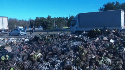 Colère des agriculteurs : dans la Drôme, des denrées venues de l’étranger déversées sur l'A7 (France 2)