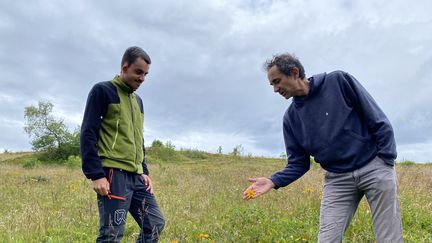 Fabien Dupont (à droite), chargé de mission Natura 2000 au parc naturel régional des Ballons des Vosges, le 4 juillet 2023 sur une parcelle protégée du Markstein (Haut-Rhin). (PAOLO PHILIPPE / FRANCEINFO)