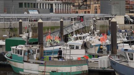 Protection animale : les pêcheurs du golfe de Gascogne en colère (Franceinfo)