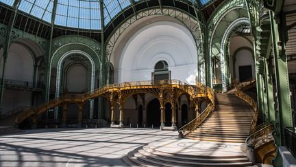 Le Grand Palais (MIRCO)